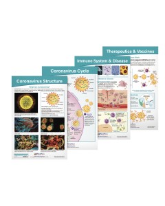 COVID-19 Structure & Immunity Bulletin Board Charts